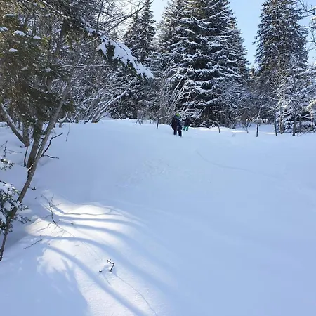 Casa vacanze Cascades, 3 Bedroom With Shared Pool. Samoëns