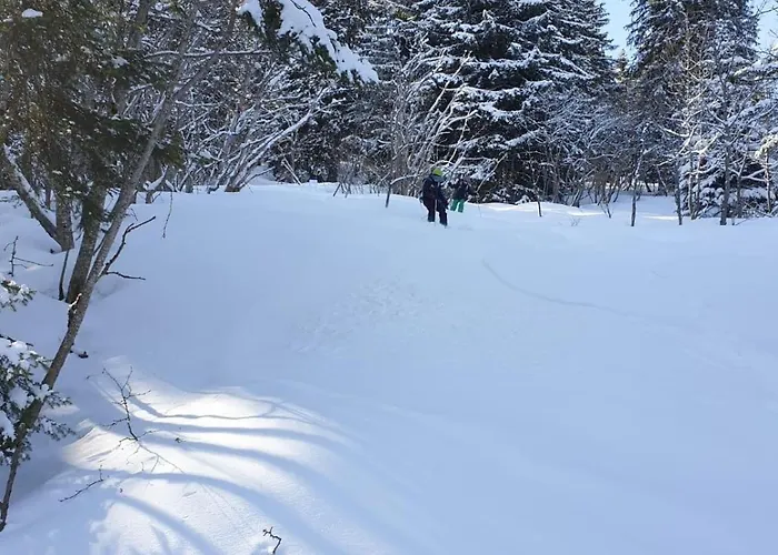 בית נופש Cascades, 3 Bedroom With Shared Pool. Samoëns